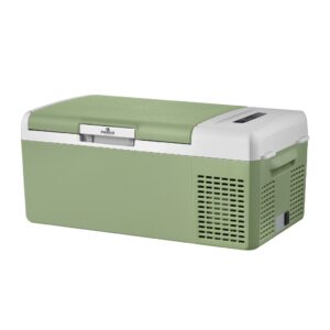 Cargo Freezer